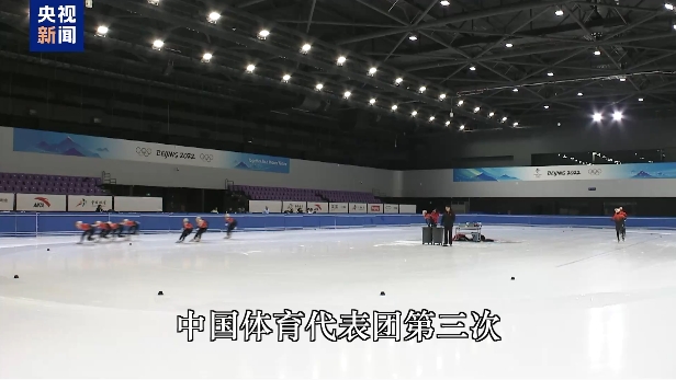 智的决定